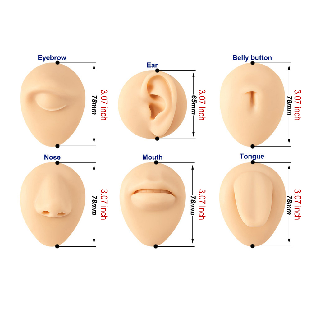 Modelo de lengua, oreja, nariz - Body Jewelry Holder reseña y precio