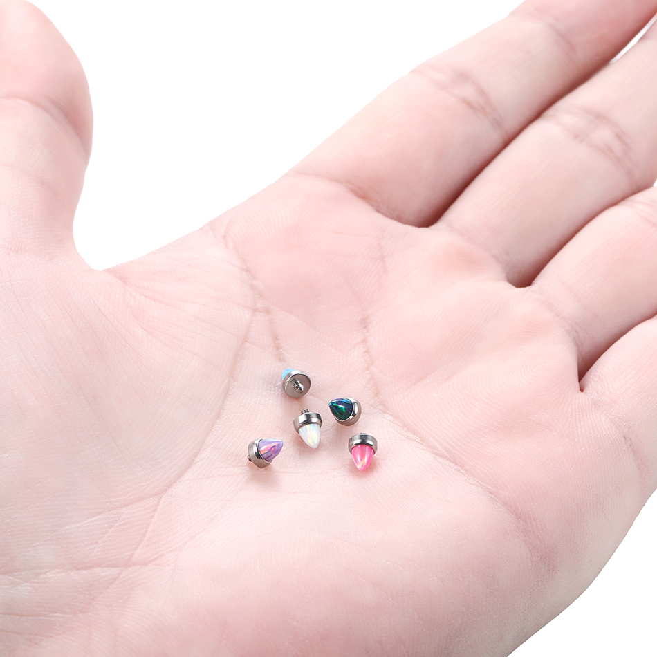 Juego de garras de titanio, Pi - Rook Curved Barbell reseña y precio